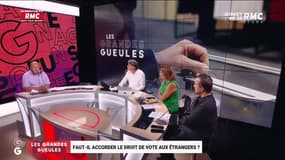 Faut-il accorder le droit de vote aux étrangers ? - 10/08