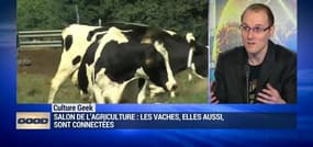 Salon de l'agriculture : les vaches, elles aussi, sont connectées