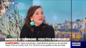 Animaux de compagnie: vous êtes responsables 