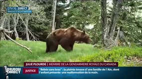 Un Français tué par un ours au Canada: "Les attaques de ce type sont très rares"