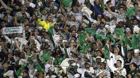 Palmeiras