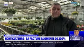 "Ce n'était plus rentable": un horticulteur voit sa facture augmenter de 300% et décide d'arrêter de chauffer l'une de ses serres