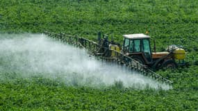 Un agriculteur répand des produits phytosanitaires sur sa parcelle à Méteren, dans le Nord, le 7 août 2017.