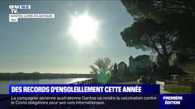 La France bat des records d'ensoleillement cette année, avec plus de 2000 heures de soleil