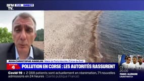 Le maire de Porto-Vecchio espère des sanctions "exemplaires" contre les responsables de la pollution en Corse