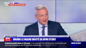 Bruno Le Maire: "Nous sommes déterminés à arracher cette majorité" aux élections législatives
