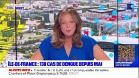 Île-de-France: 138 cas de dengue depuis mai
