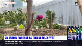 Marseille: un jardin partagé au pied de Félix-Pyat