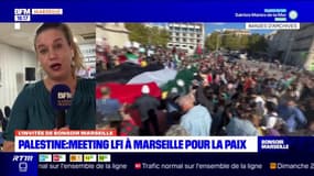 Meeting "pour la paix et la justice en Palestine" à Marseille: Mathilde Panot (LFI) explique en quoi il est "symbolique"