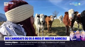 Miss et Mister Agricole: deux Haut-Alpins en lice pour le titre