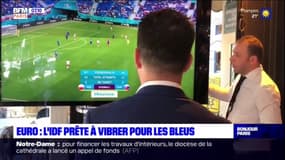Euro: les bars d'Île-de-France prêts à vibrer pour les Bleus