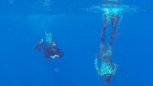 Des plongeurs de la marine australienne à la recherche de débris du vol MH370, le 8 avril 2014