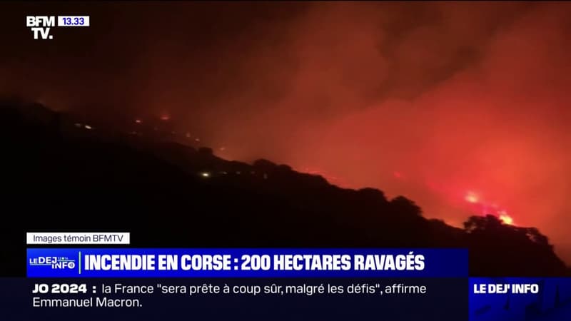 Incendie en Corse: le feu est fixé, 200 hectares ravagés