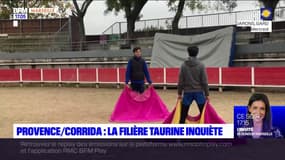 Corrida: la filière taurine s'inquiète