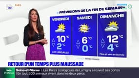 Météo Paris-Ile de France du 10 février : Retour d'un temps plus maussade