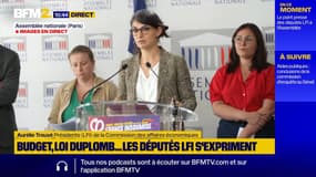 Agriculture: LFI annonce un recours au Conseil constitutionnel si la loi Duplomb est adoptée