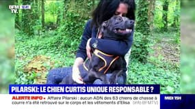 Affaire Pilarski: le chien Curtis unique responsable ?