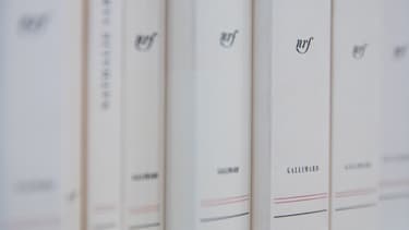 Photo d'illustration - couverture de livres Gallimard