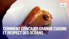  Comment concilier grande cuisine et respect des océans 