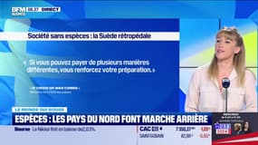 Annalisa Cappellini : Espèces, les pays du nord font marche arrière - 01/11