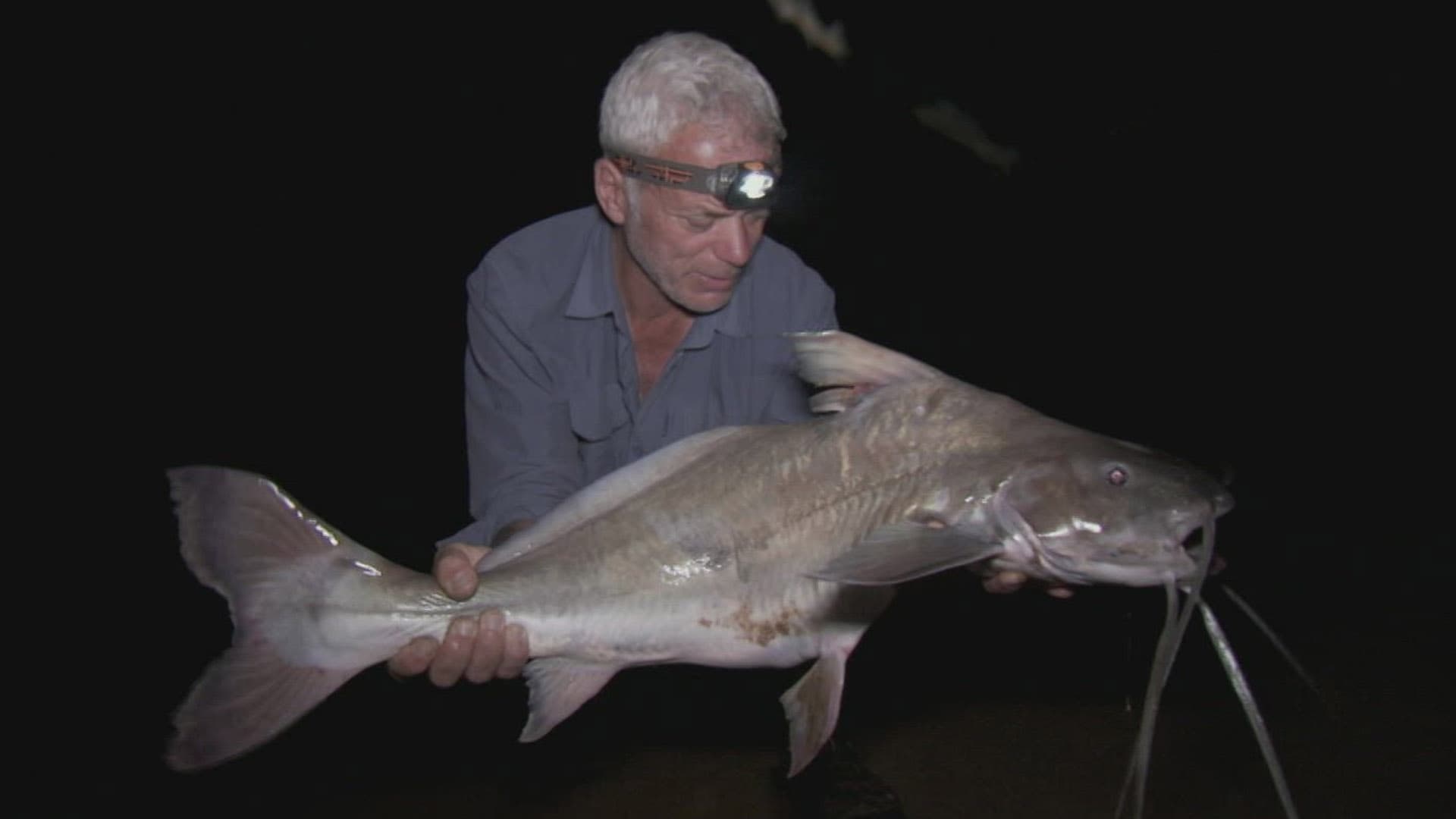 RIVER MONSTERS