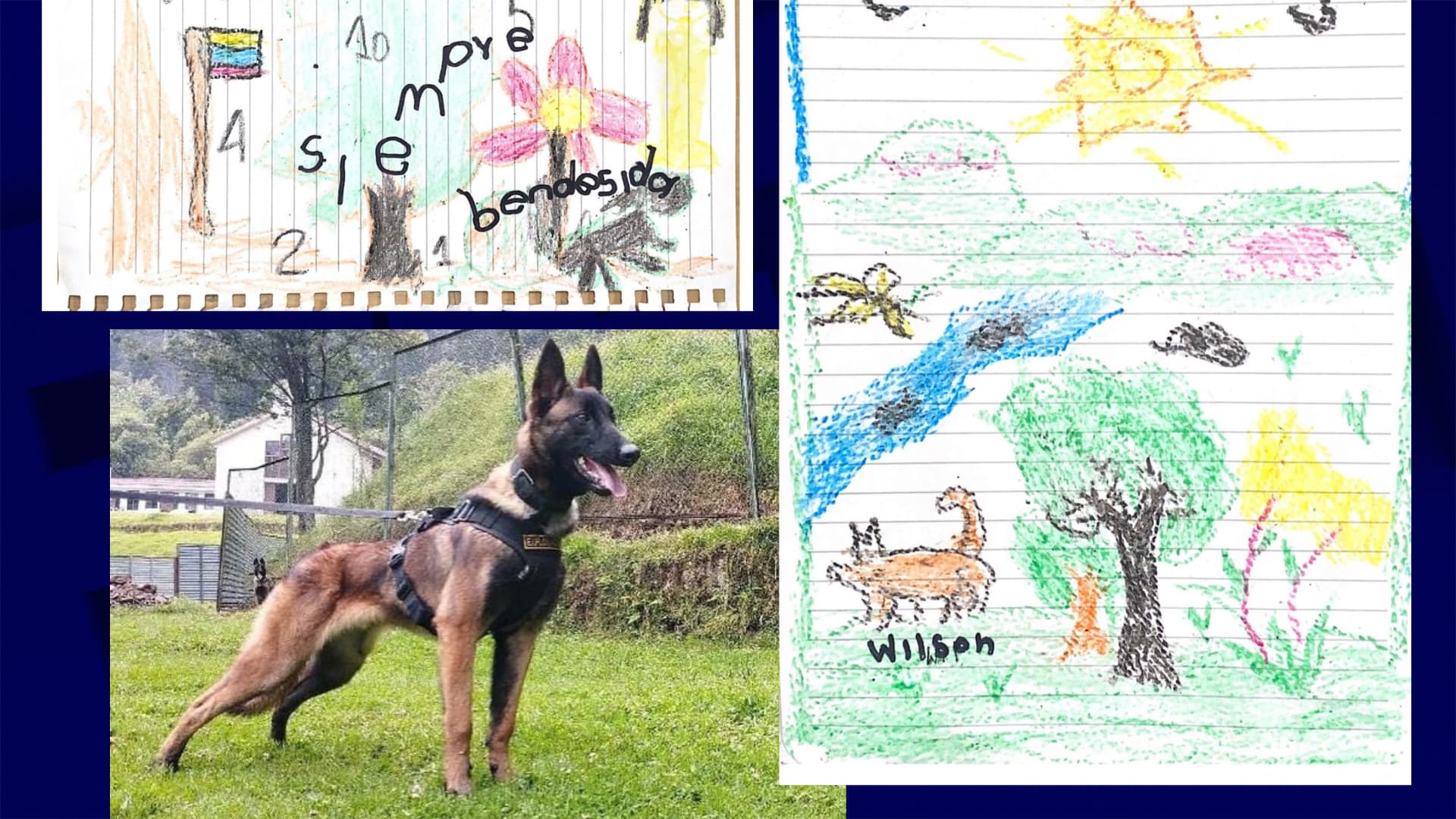 The first cartoons of children rescued in the woods depicted Wilson, a dog lost during a search
