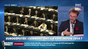 "L'Europe en question(s)": comment votent les eurodéputés français depuis 2014?
