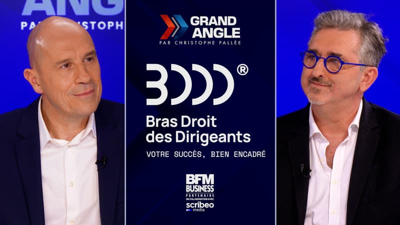 Bras Droit des Dirigeants : et si les cadres externalisés étaient l'avenir des entreprises performantes ?