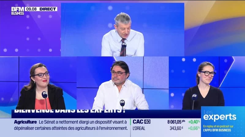 Les Experts : Bruxelles entame un détricotage du Green Deal - 12/02