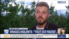 "C'est dramatique." Cet agriculteur a perdu 90% de ses fruits à cause de la grêle