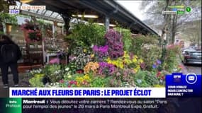 Paris: le projet de rénovation du marché aux fleurs de l'île de la Cité
