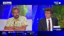 Planète locale du lundi 26 juin - Les forêts alsaciennes produisent du CO2