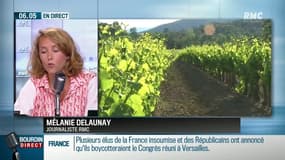 10 millions de litres de rosé espagnol vendus pour du vin français