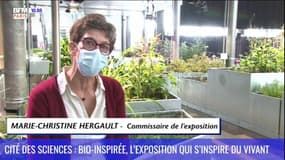 Découverte d'ici : La cité des sciences, bio-inspirée, l'exposition qui s'inspire du vivant