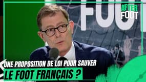 After : Organisation, gestion et financement... la proposition de loi peut-elle sauver le foot français ?