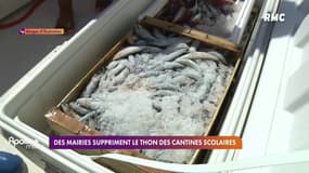 Paris, Lille, Lyon, Montpellier... Huit mairies suppriment le thon des menus des cantines, à cause de la présence de mercure
