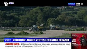 "Les algues vertes", au cinéma ce mercredi, revient sur la pollution au nitrate en Bretagne