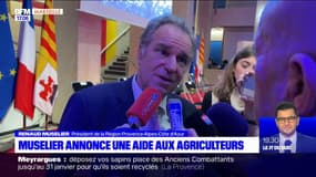 Provence-Alpes-Côte d'Azur: Renaud Muselier annonce une aide aux agriculteurs