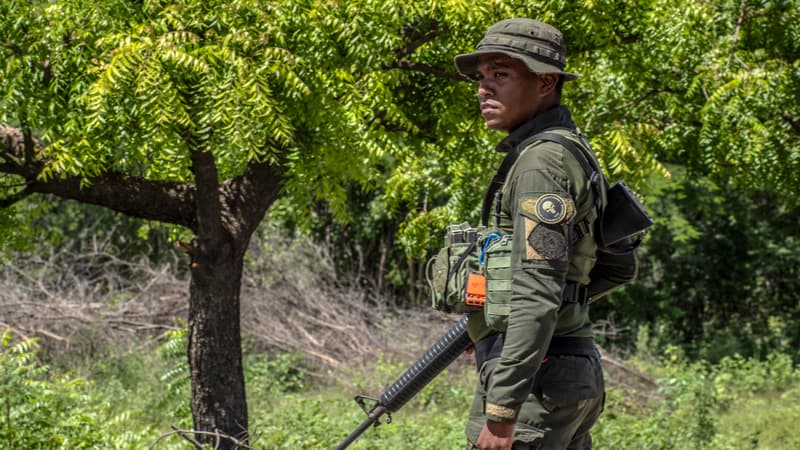Colombie: les 34 militaires séquestrés dans le sud du pays ont été libérés