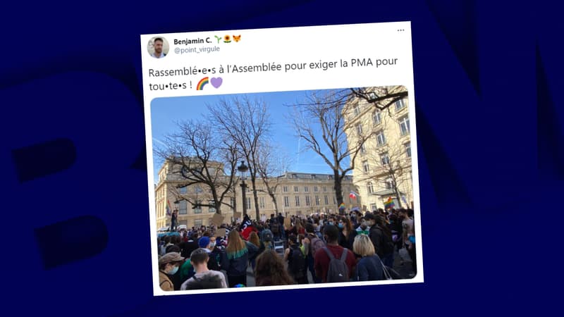 Plusieurs centaines de personnes se sont rassemblées devant l'Assemblée nationale pour mettre en garde contre une PMA "au rabais"