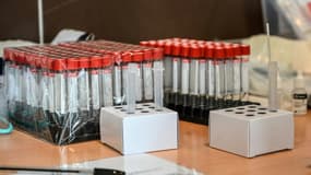 Des échantillons lors des tests au Covid-19 réalisés à Roubaix (Nord), le 11 janvier 2021, lors d'une campagne massive de tests 