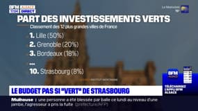 Le budget pas si "vert" de Strasbourg