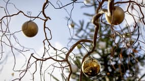 Décorations de Noël dans un arbre. PHOTO AFP