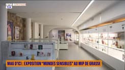 Mag d'ici : exposition "Mondes Sensibles" au MIP de Grasse