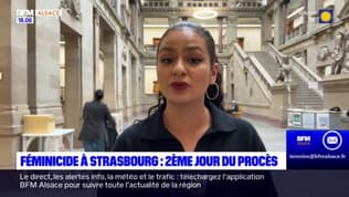 Strasbourg: deuxième jour du procès d'un homme accusé de féminicide