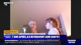 Près de 7 ans après, ils retrouvent leur chatte "Choupette" à 800km de leur domicile