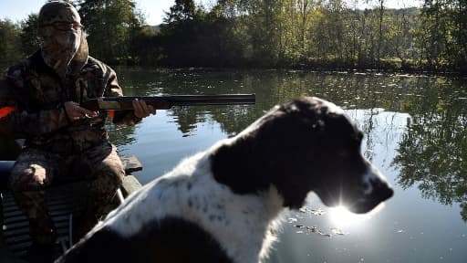 Un chasseur et son chien - Image d'illustration