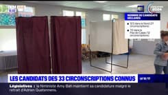 Législatives anticipées: les candidats des 33 circonscriptions connus