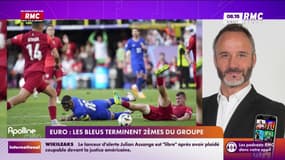 Euro/Les Bleus : "Il y a de quoi être inquiet"