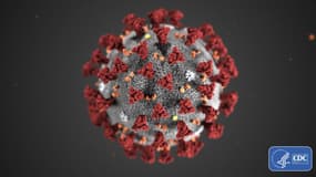 Une modélisation du coronavirus
